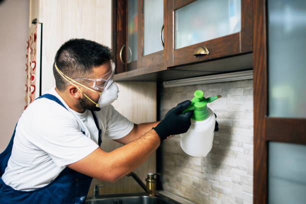Best Rat Extermination Near Me  in Henderson, GA
