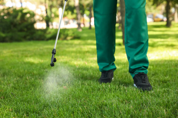 Best Local Pest Control Services  in Henderson, GA