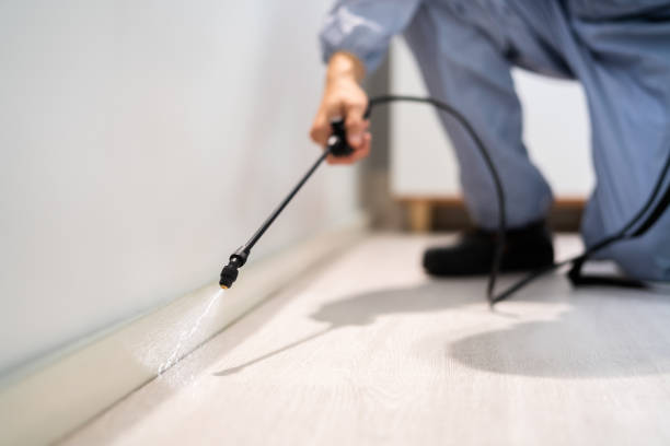 Pest Control for Restaurants in Henderson, GA
