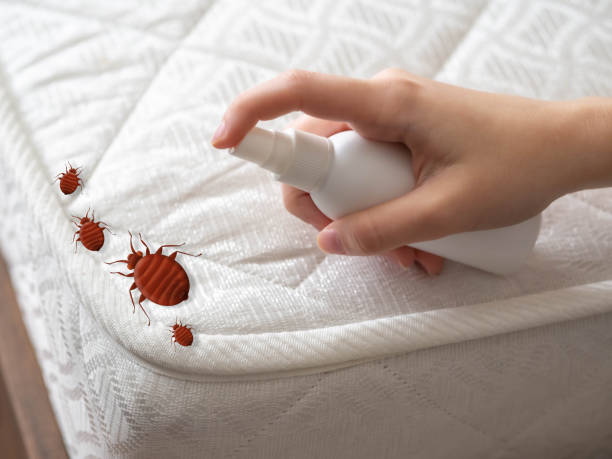 Best Mosquito Control Services  in Henderson, GA