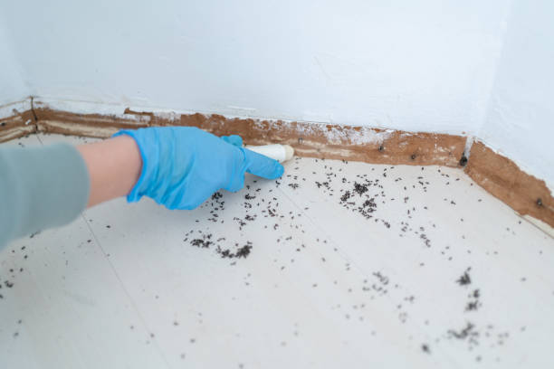 Professional Pest Control in Henderson, GA